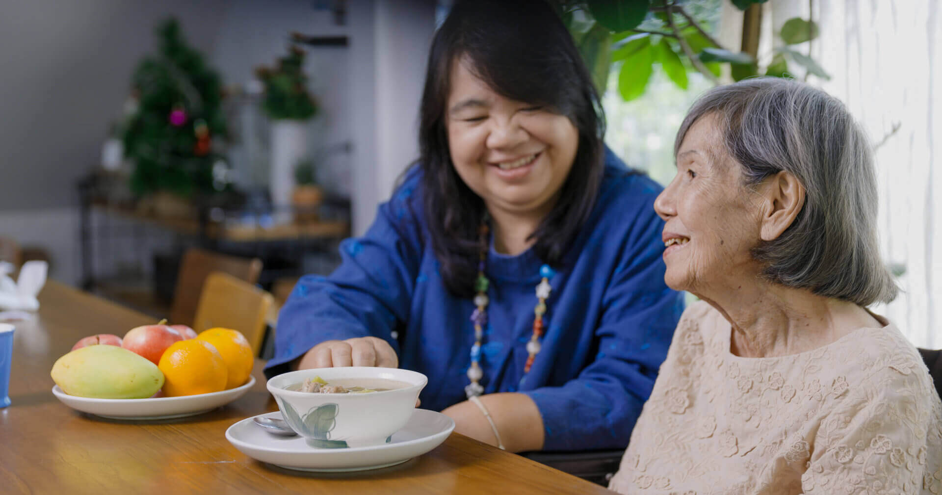 Aide and senior woman smiling together at the table